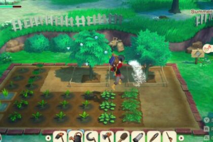 STORY OF SEASONS Grand Bazaar Beginner Guide (2025)